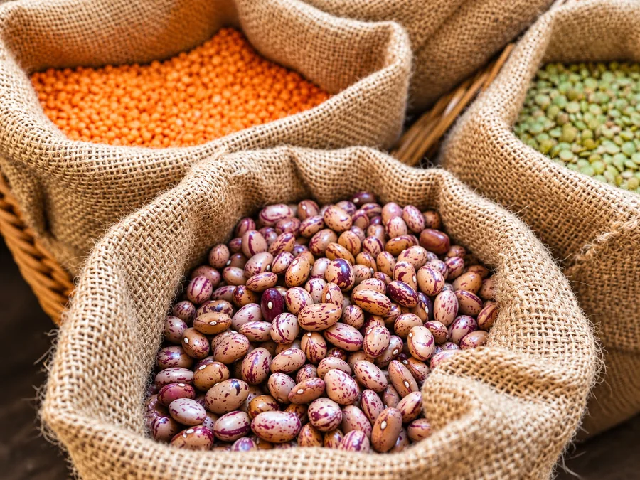 Pinto beans in a burlap sack